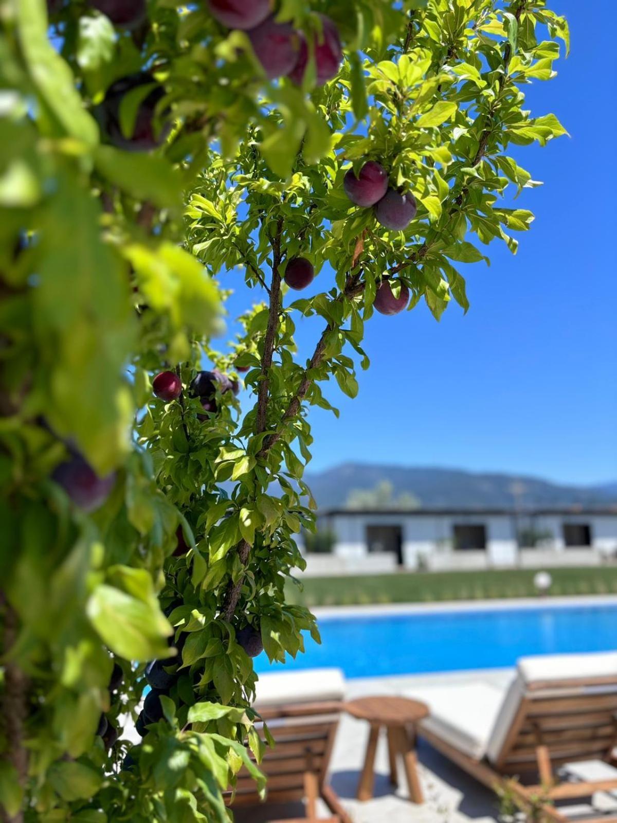 Casa Mora Aparthotel Edremit  Buitenkant foto